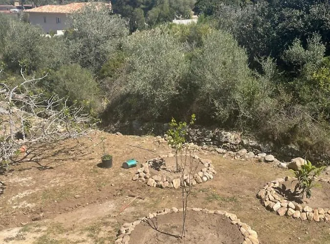 Lumineux T2 Avec Terrasse Et Jardin Apartmán